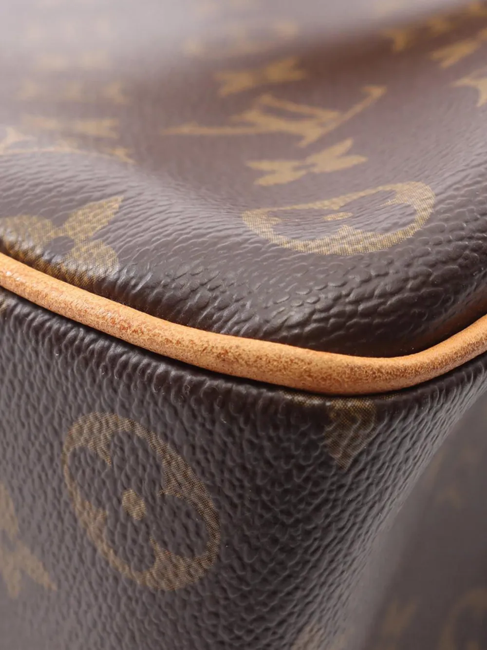 2005 Monogram Multipli Cite Tote Bag
