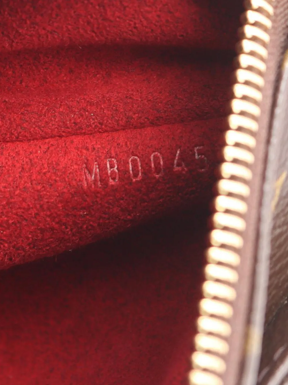 2005 Monogram Multipli Cite Tote Bag