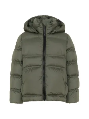 Stella McCartney Kids フーデッド パデッドジャケット | グリーン 