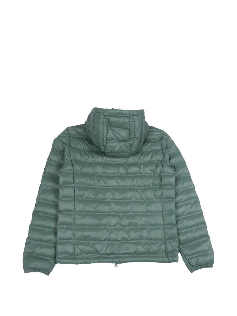 Blauer Charles gewatteerd jack met capuchon en rits Groen