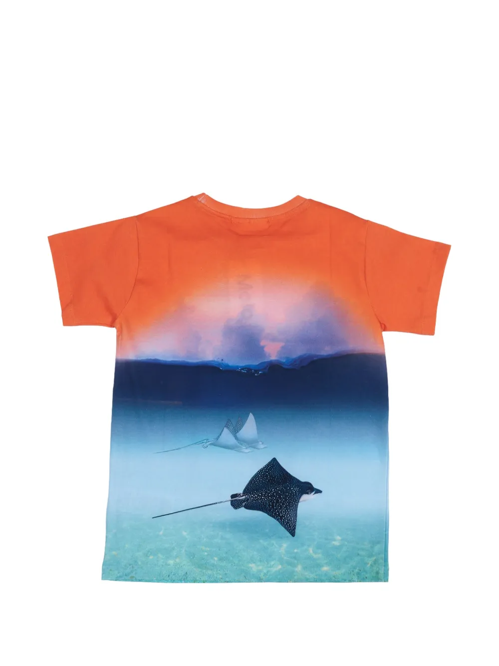 Molo Raul T-shirt met grafische print Blauw