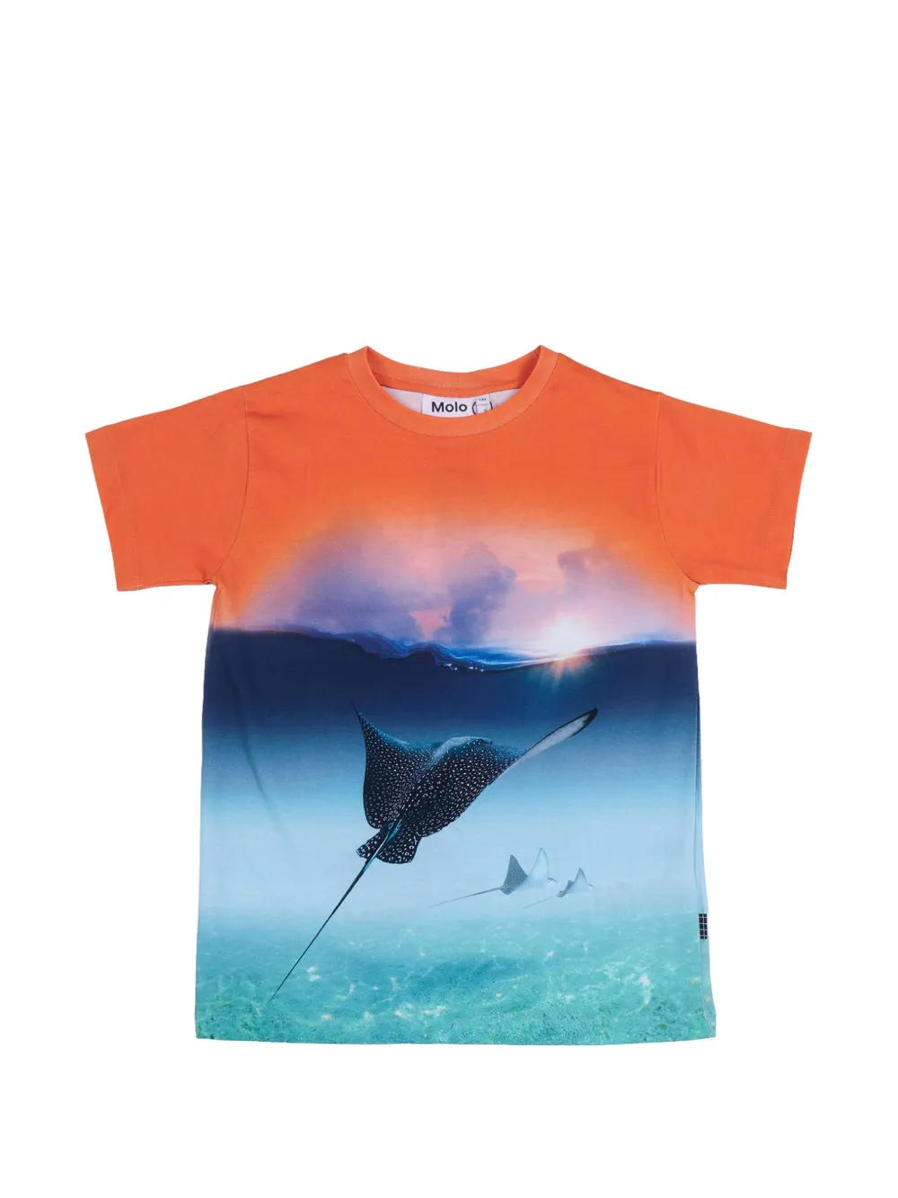 Molo Raul graphic-print t-shirt - Blu