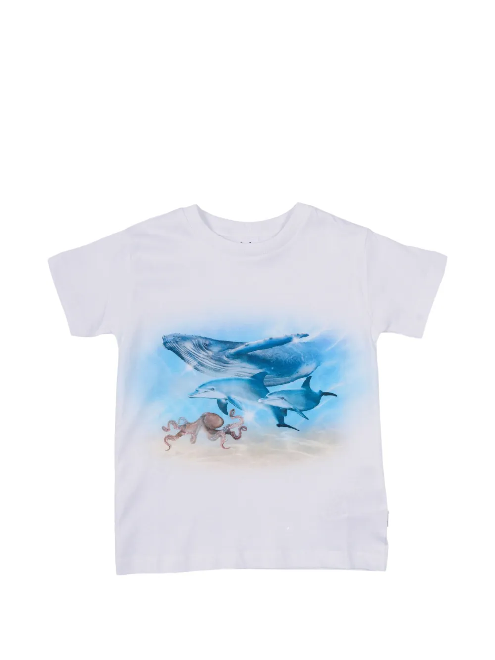 Molo Raul ocean-print short-sleeve T-shirt - Bianco