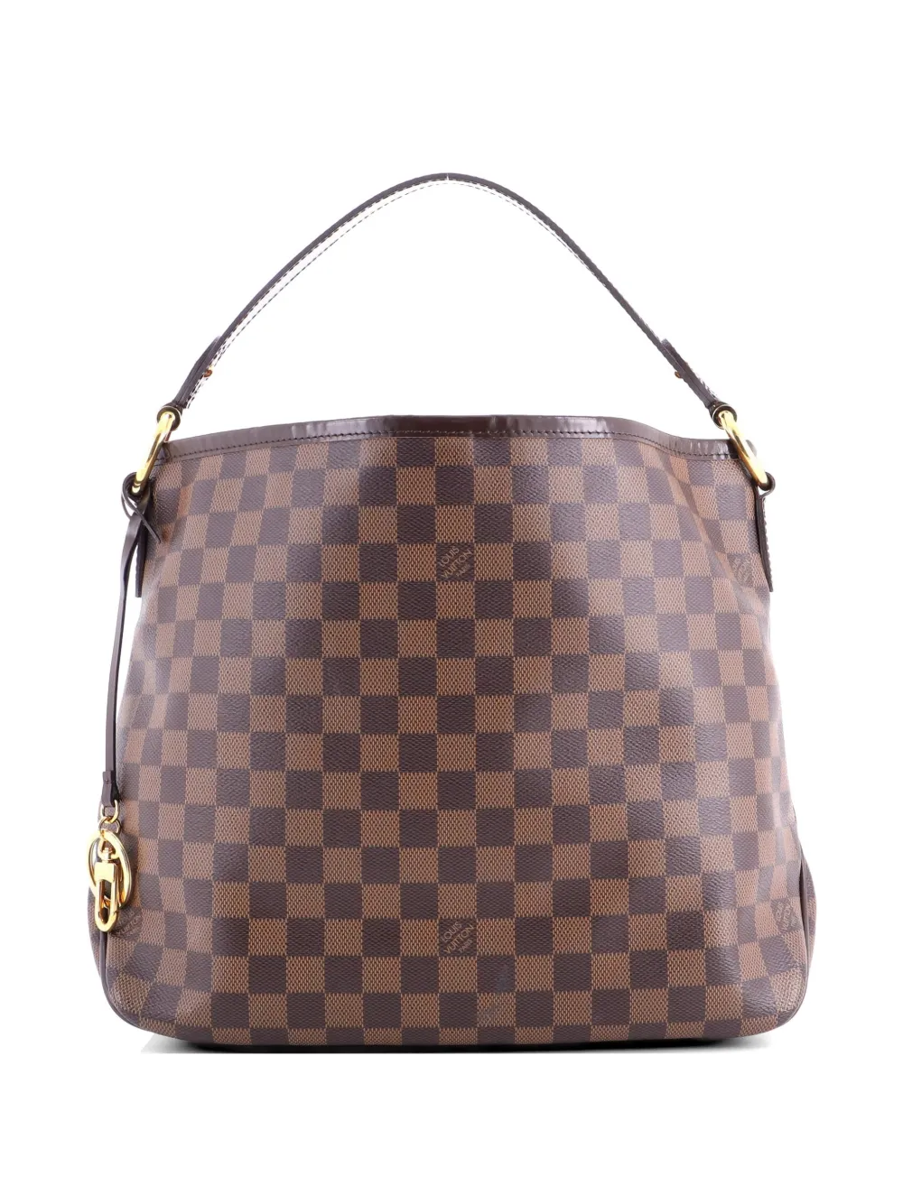 Louis Vuitton Pre-Owned Delightful NM Handbag Damier PM hobo bag - Marrone