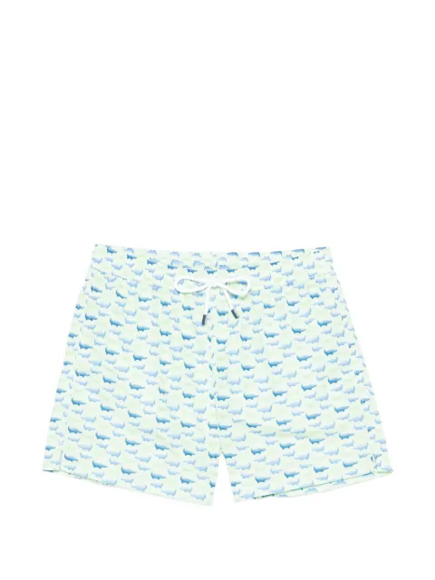 Fedeli bañador con cordón y animal print