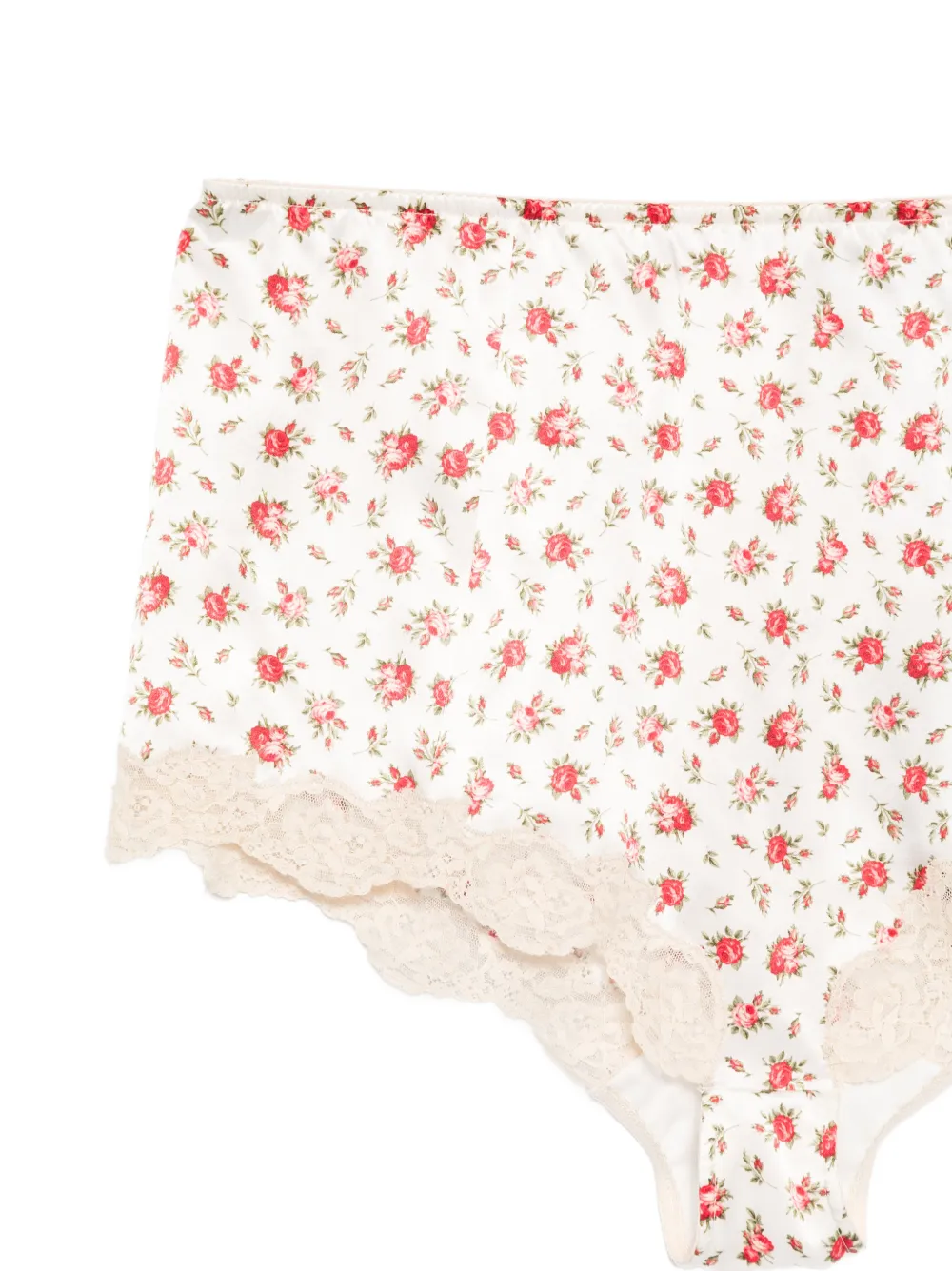 Dolce & Gabbana Kanten slip met bloemenprint Wit