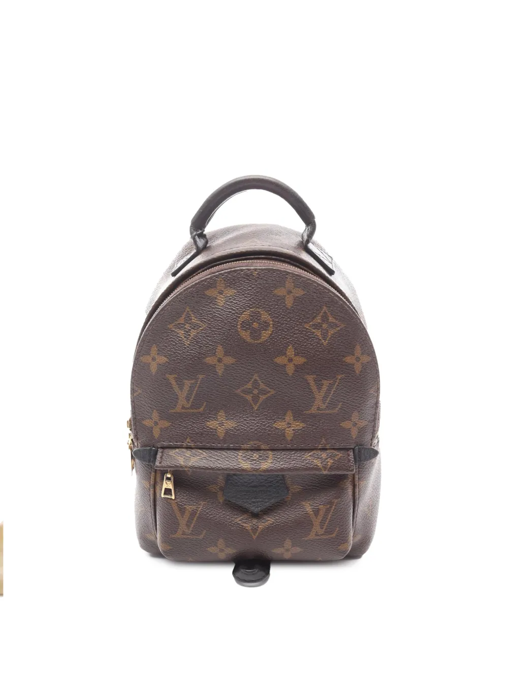 Louis Vuitton Pre-Owned 2020 Monogram Mini Palm Springs backpack - Marrone