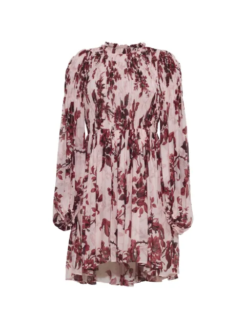 Cara Cara Weston ruffled mini dress