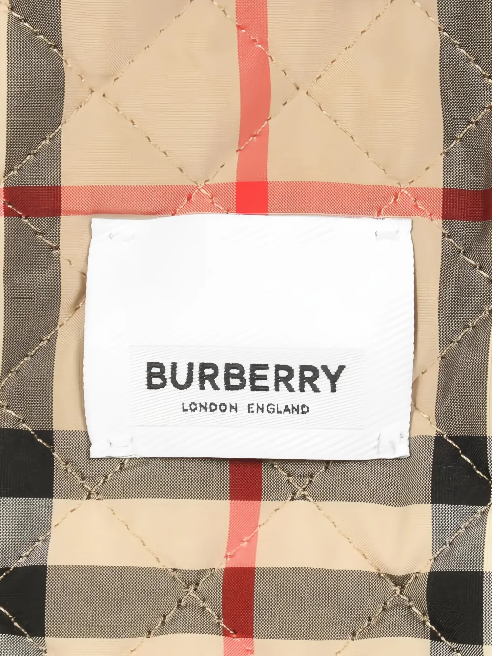  Burberry Pre-owned Chaqueta Austrel Con Capucha - Neutro 