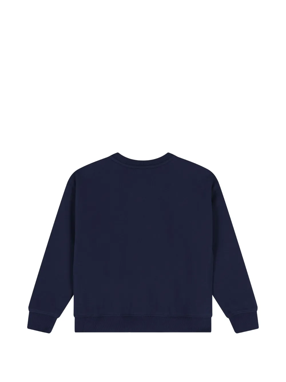 POLO RALPH LAUREN KIDS Sweater met grafische print Blauw