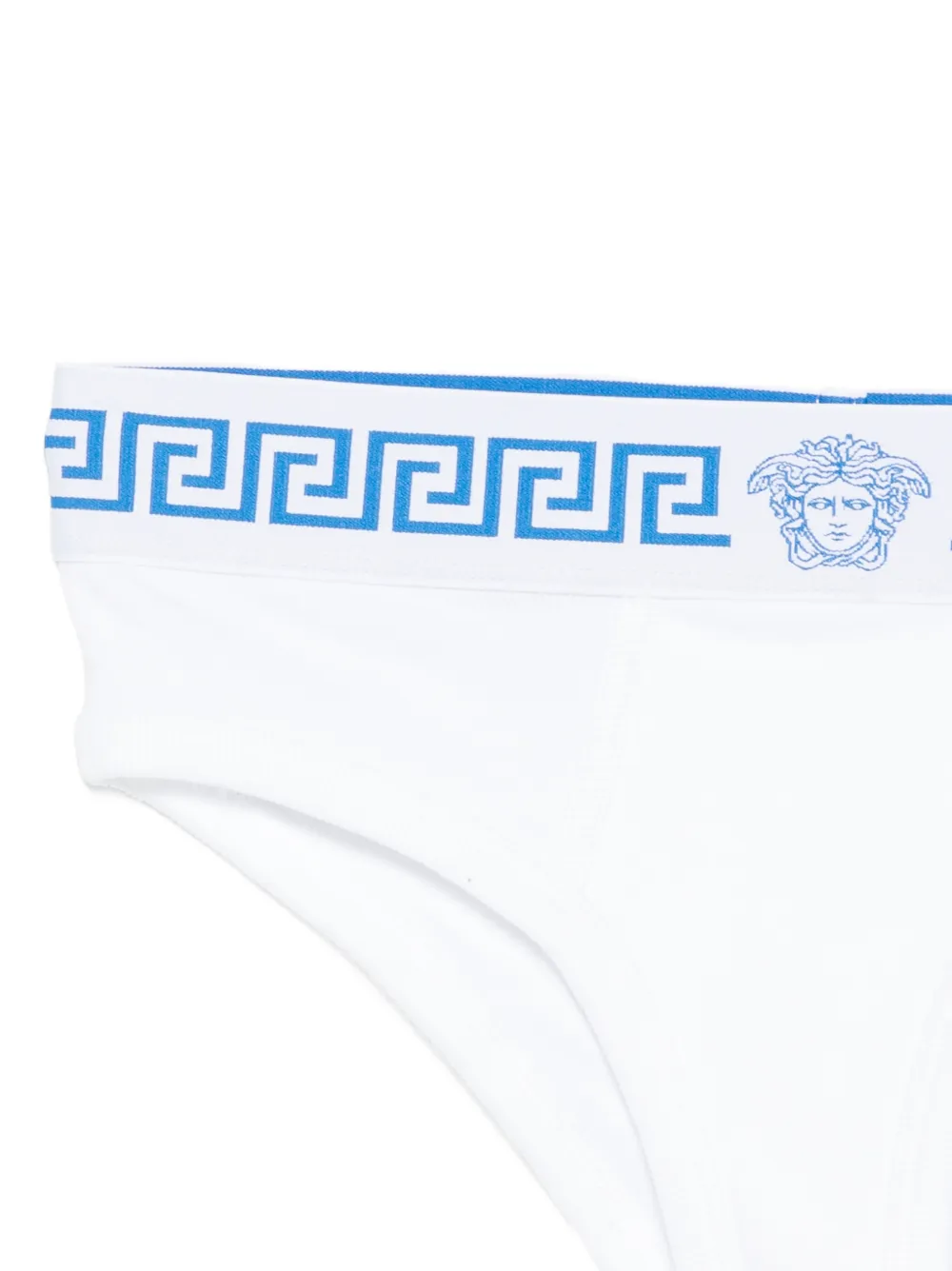 Medusa-head briefs