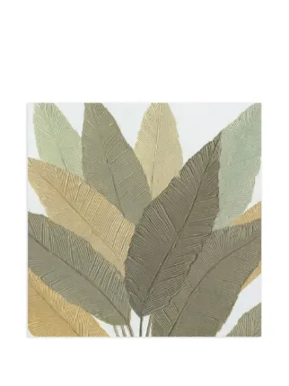 AGAVE QUADRI