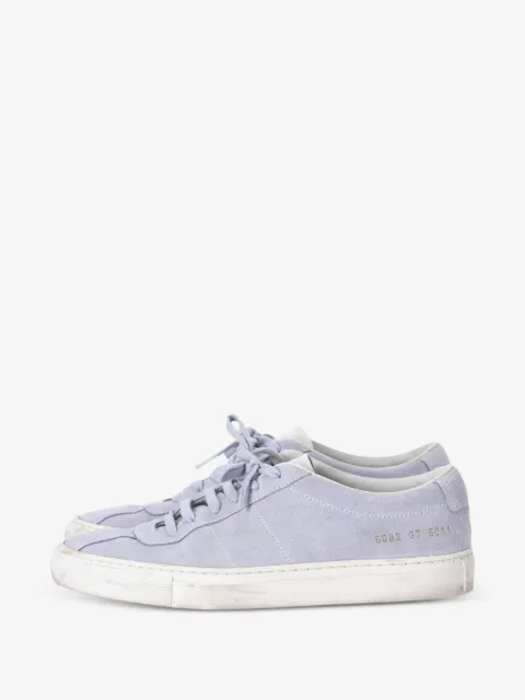 Common Projects Sneakers Summer Edition in pelle scamosciata