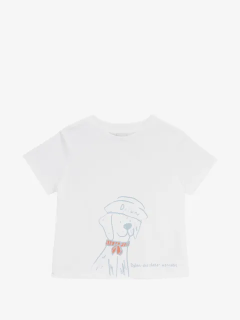 Knot playera Dylan