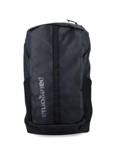 Patagonia 25L Hole® backpack