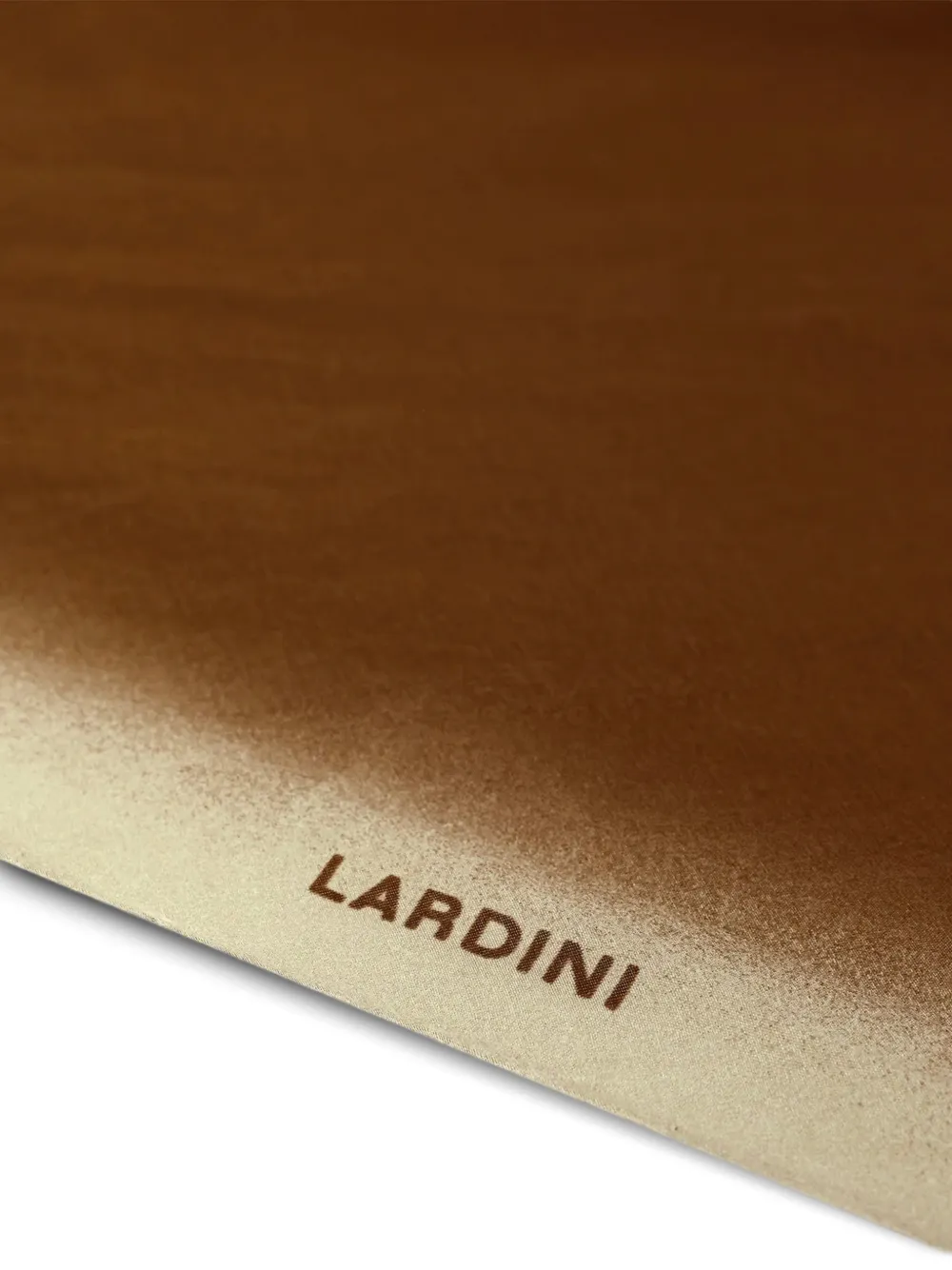 Lardini 레터링 로고 스카프 | Image 2