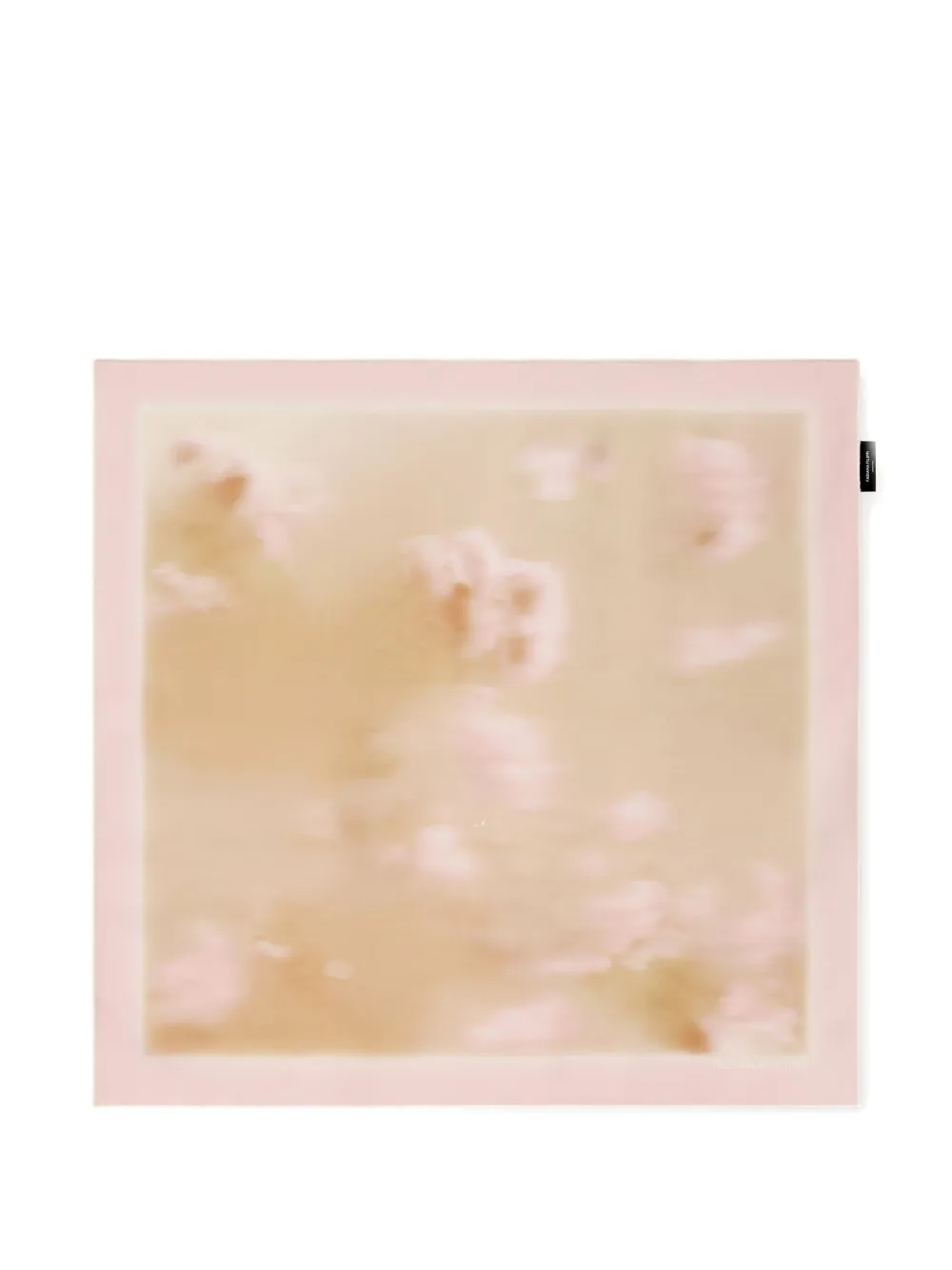 Fabiana Filippi floral printed scarf - Toni neutri