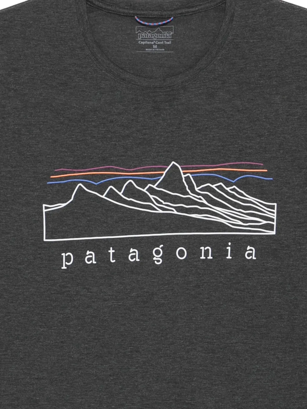 Patagonia T-shirt Grijs