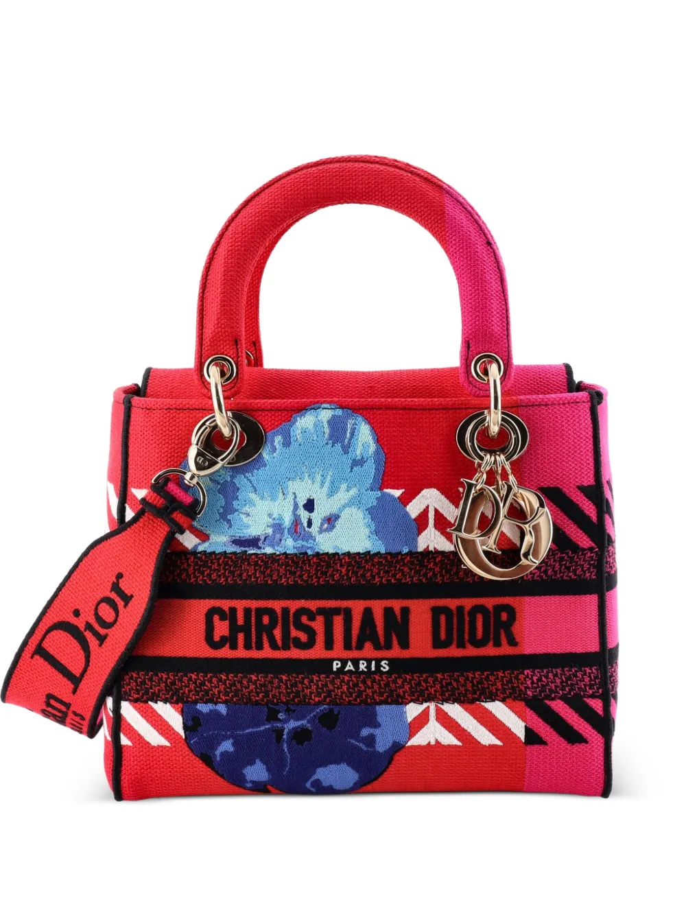 Christian Dior Pre-Owned Lady D-Lite Bag Embroidered Canvas Medium satchel - Mehrfarbig