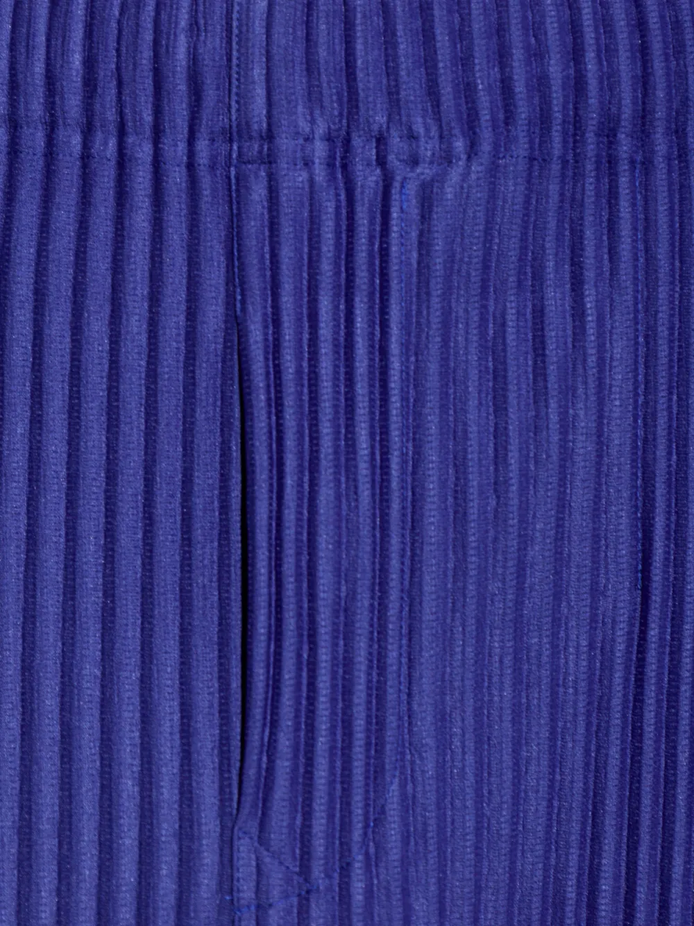 Homme Plissé Issey Miyake Plooibroek Blauw