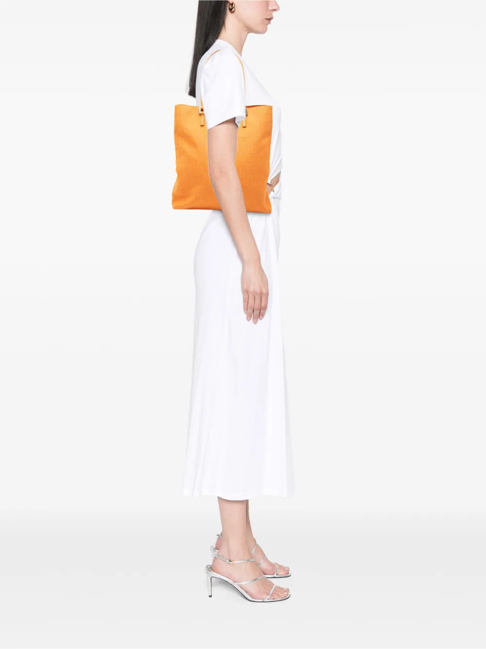 2000-2010 Zucchino Canvas Tote Bag