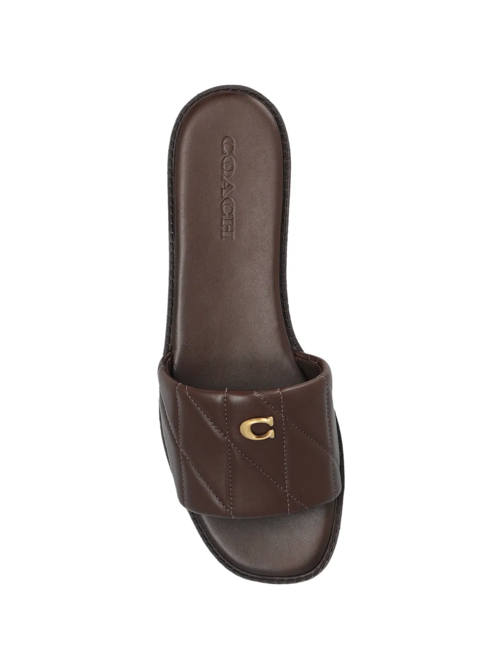 Coach Holly sneakers met logodetail Bruin