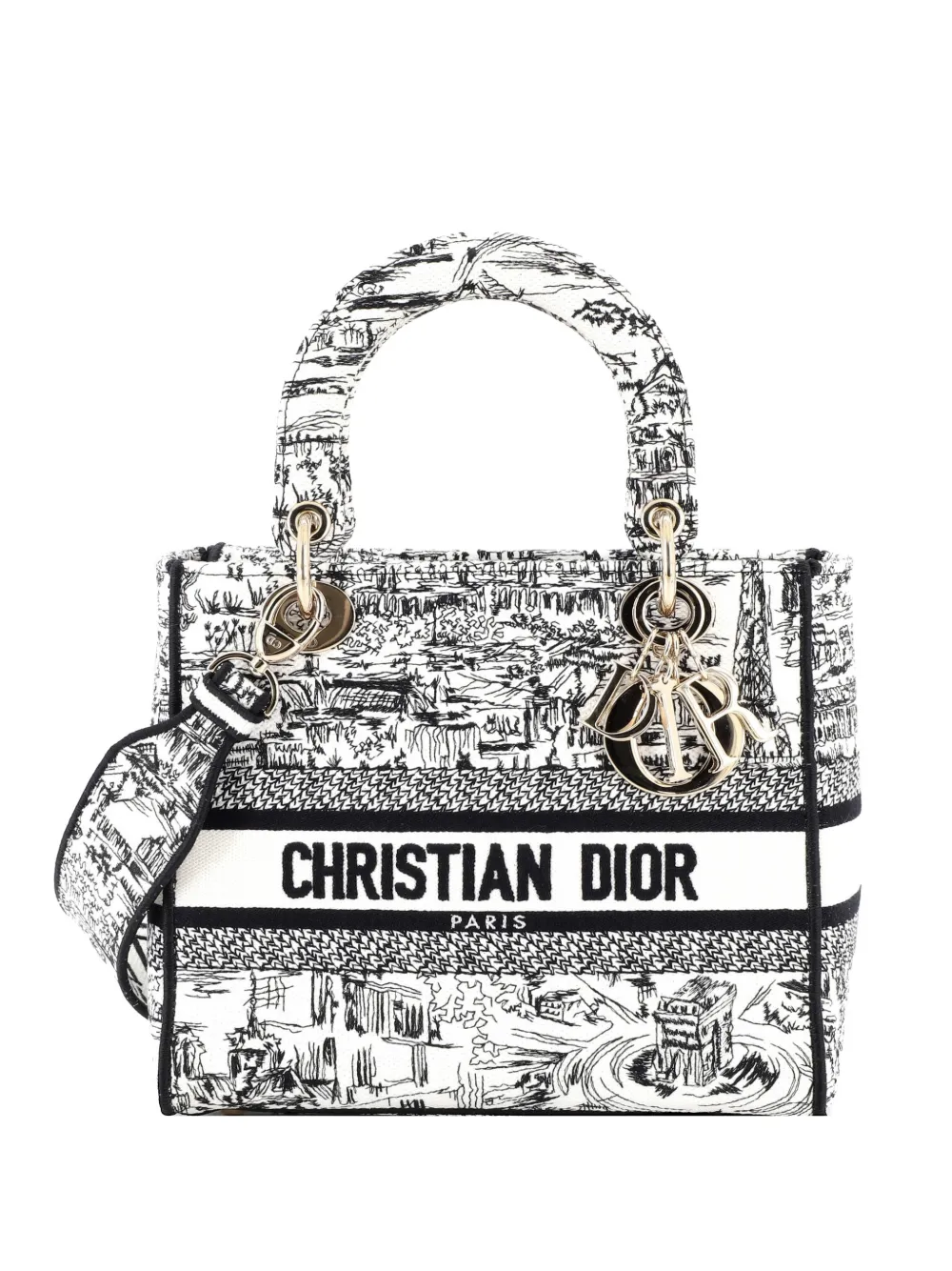 Christian Dior Pre-Owned Lady D-Lite Bag Embroidered Canvas Medium satchel - Mehrfarbig