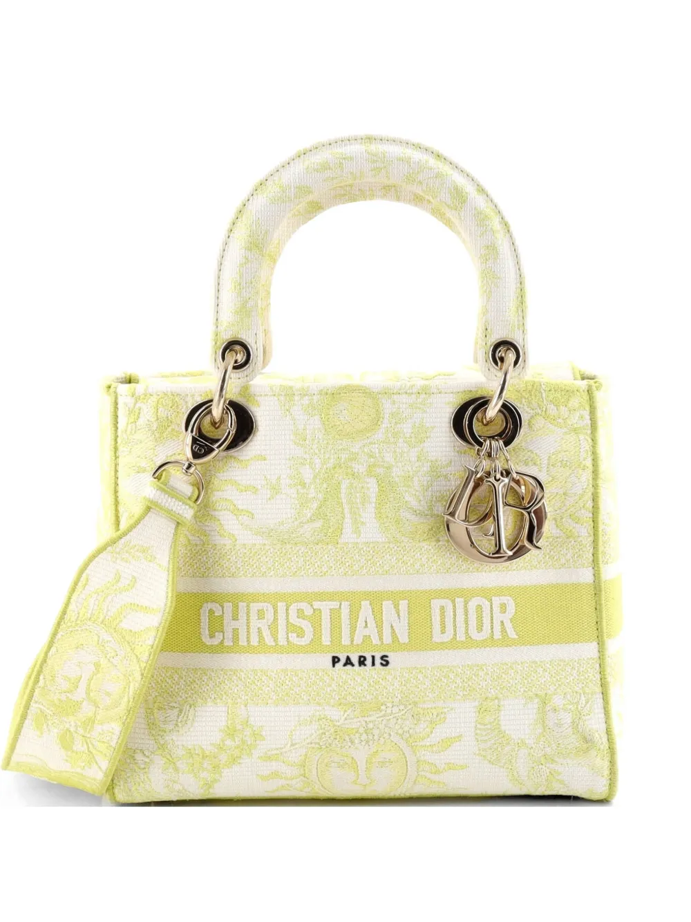 Christian Dior Pre-Owned Lady D-Lite Bag Embroidered Canvas Medium satchel - Multicolore