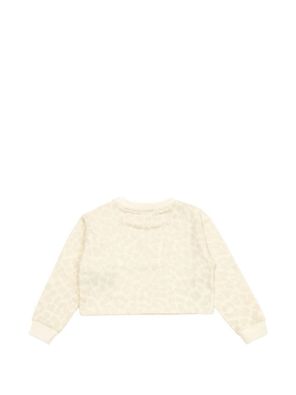 Pattern Crop Sweater