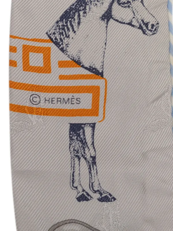 Hermès Pre-Owned 2019-2025 ガルド ローブ ポップ ツイリー シルク 