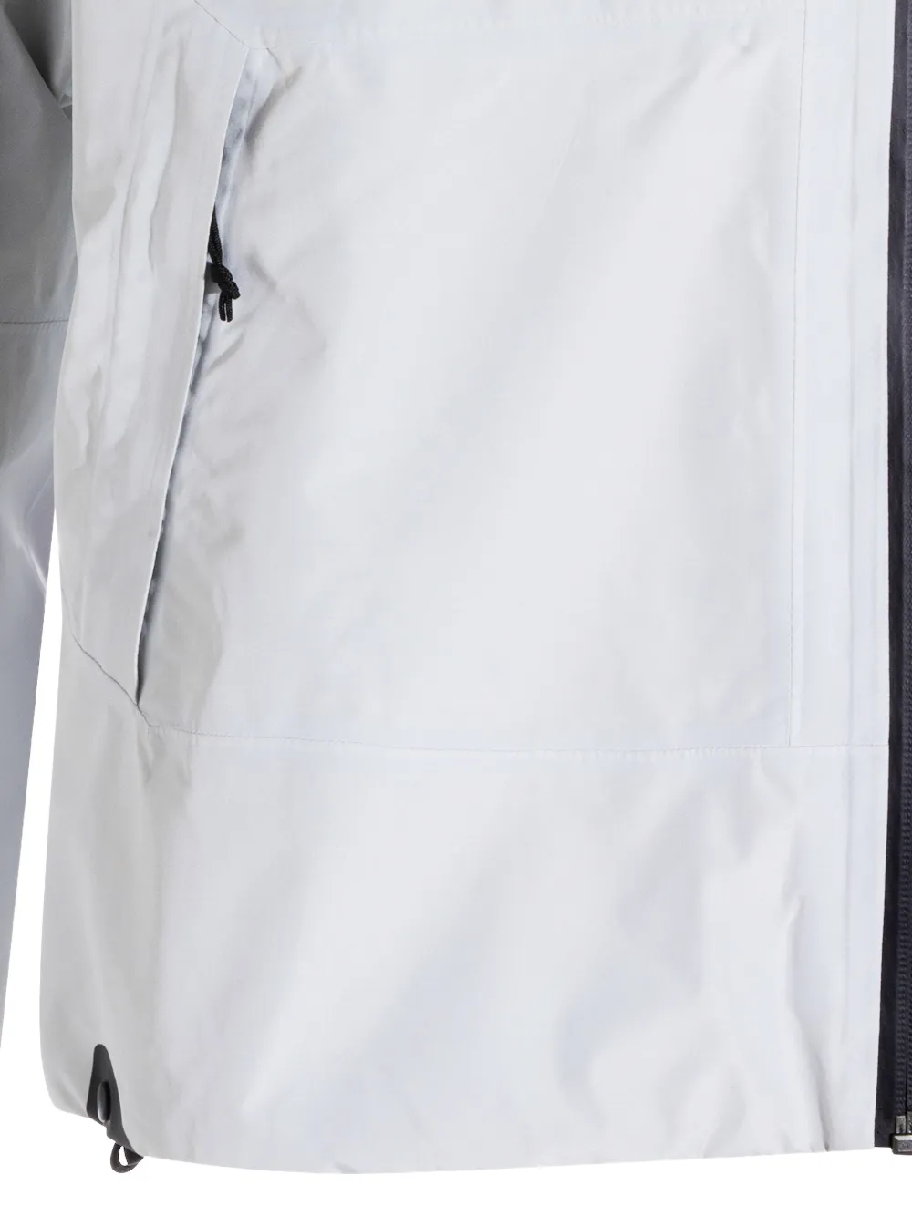 The North Face Devils Thumb GTX jack met capuchon Grijs