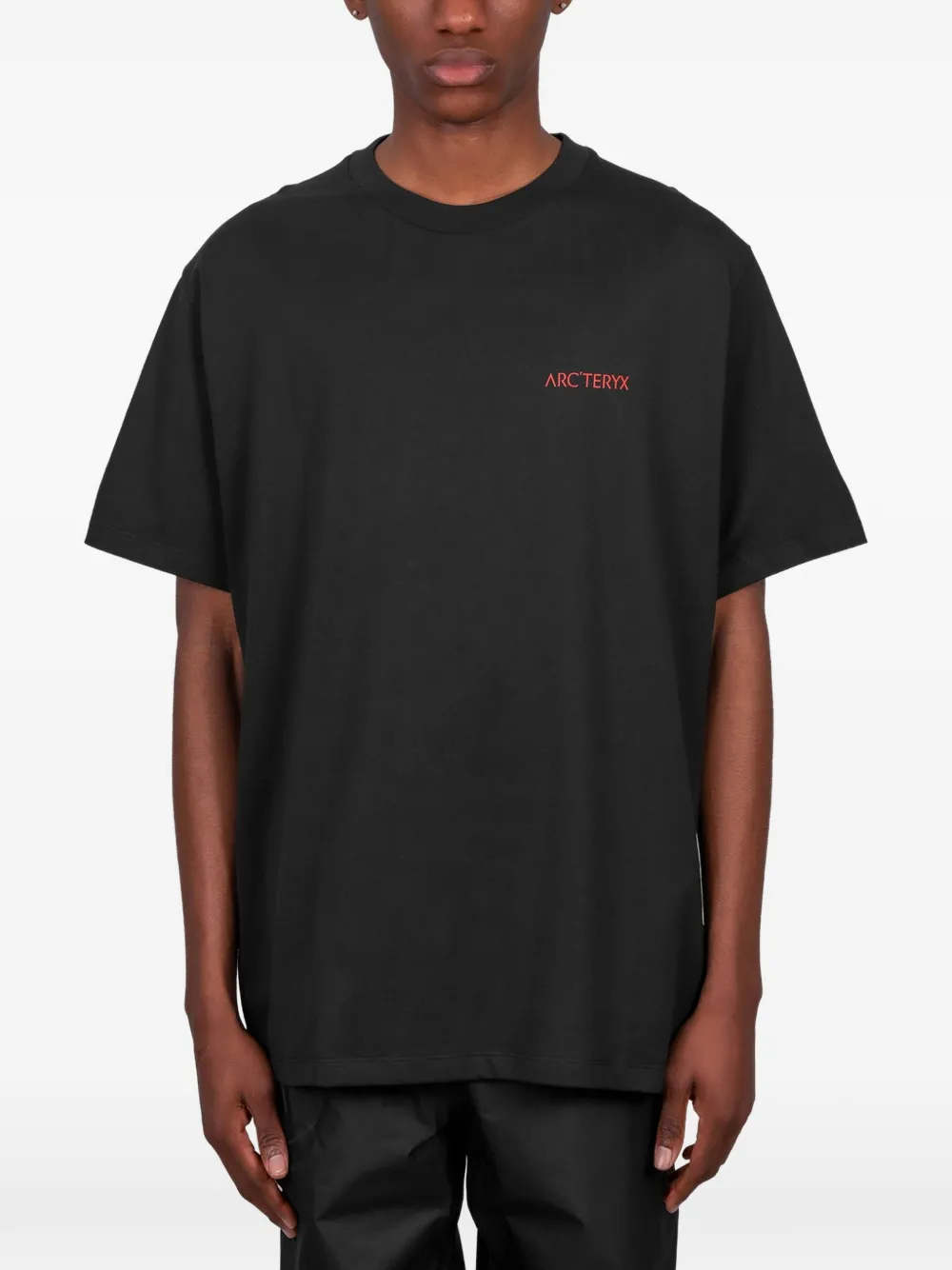 Arc'teryx Kragg Blurred Bird T-shirt - Nero