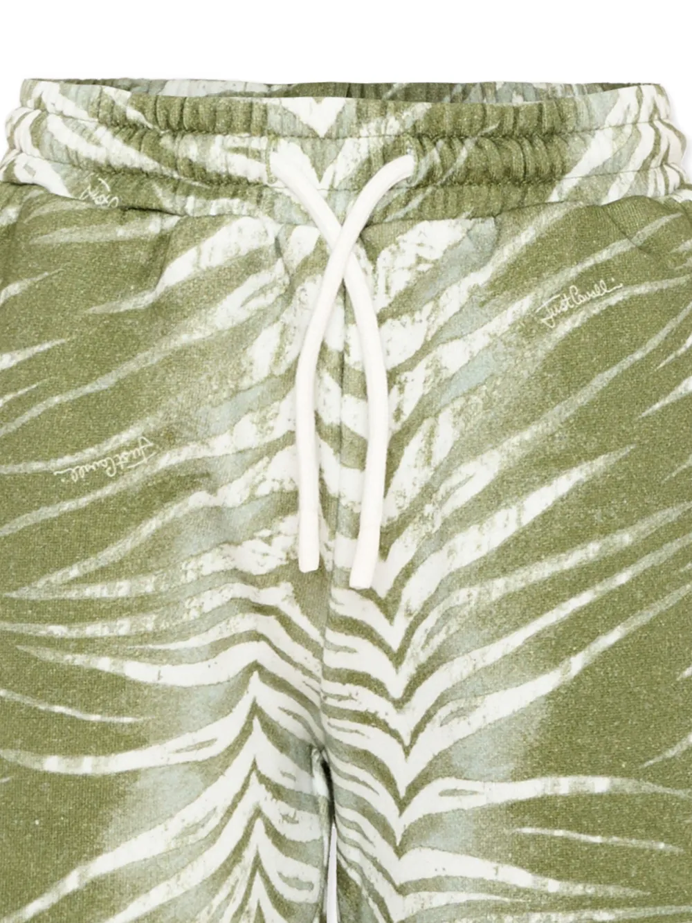 Just Cavalli Kids Shorts met zebraprint Groen