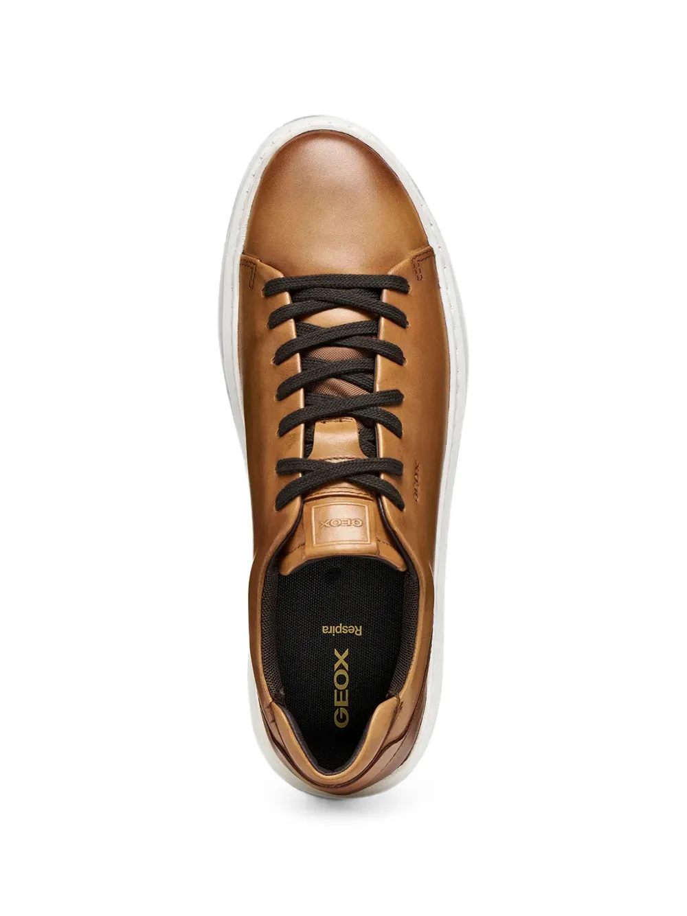 Geox Deiven logo-debossed leather sneakers Bruin
