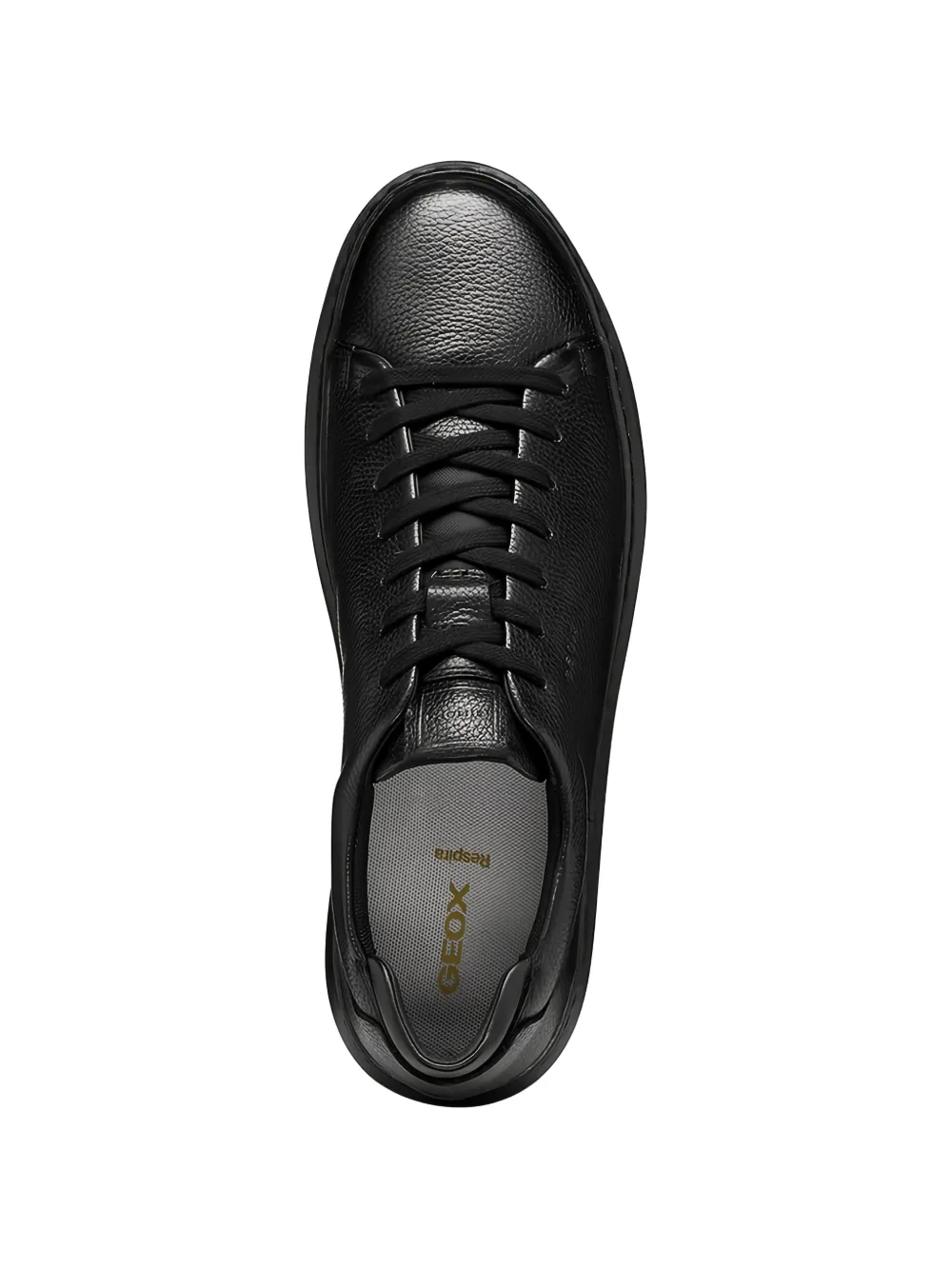 Geox Sneakers Zwart