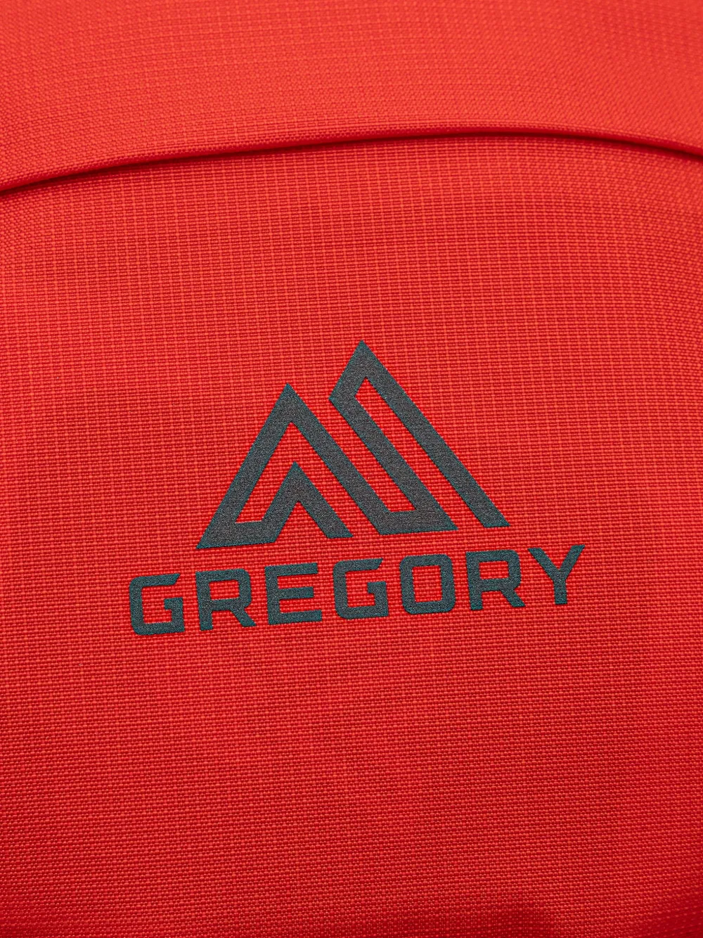 Gregory Kiro 24 Backpack In Red