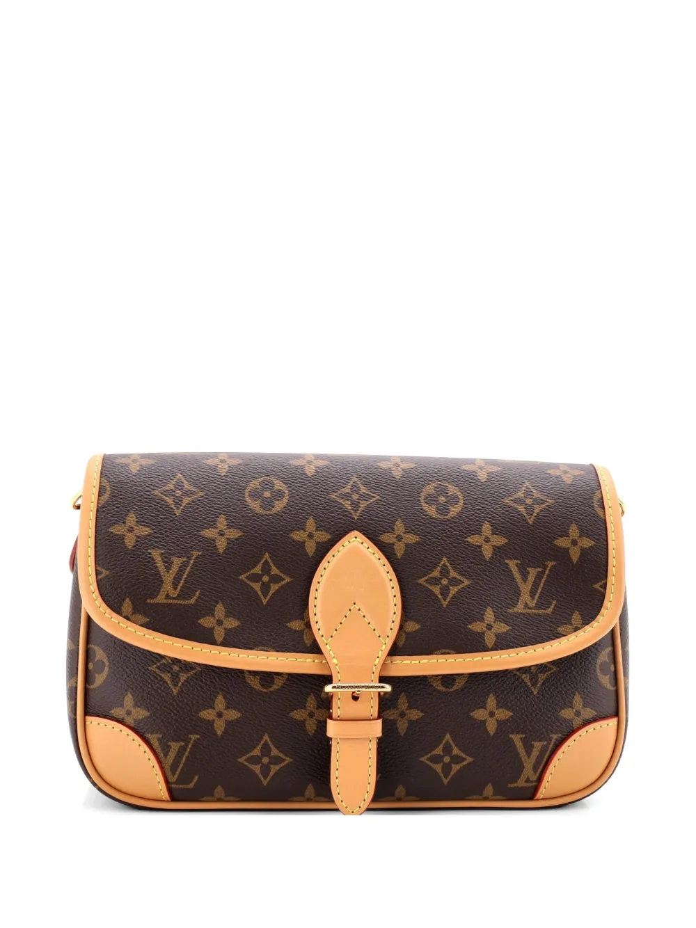 Louis Vuitton Pre-Owned Diane NM Handbag Monogram Canvas crossbody bag - Marrone