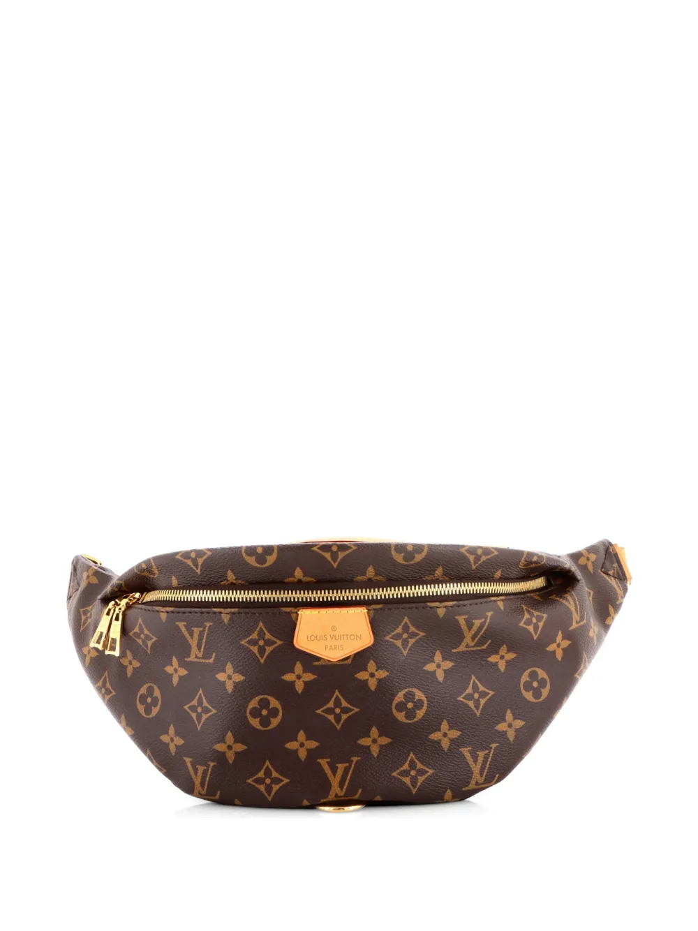 Louis Vuitton Pre-Owned Bum Bag Monogram Canvas belt bag - Marrone