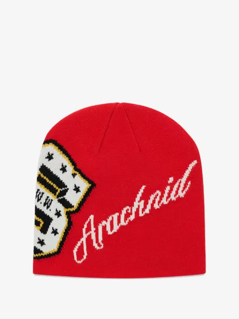 SP5DER District V Skully beanie hat