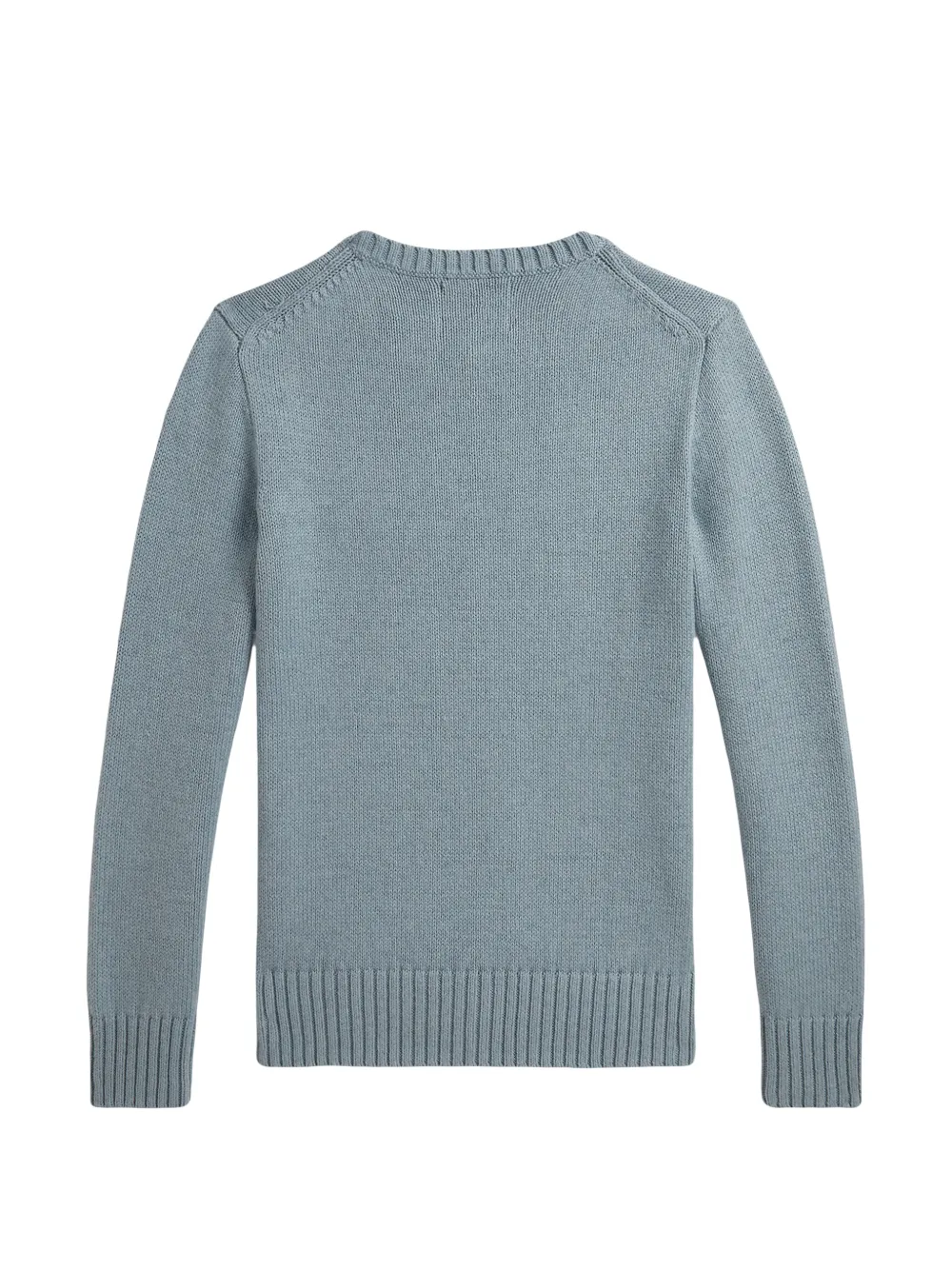 POLO RALPH LAUREN KIDS Intarsia trui Blauw