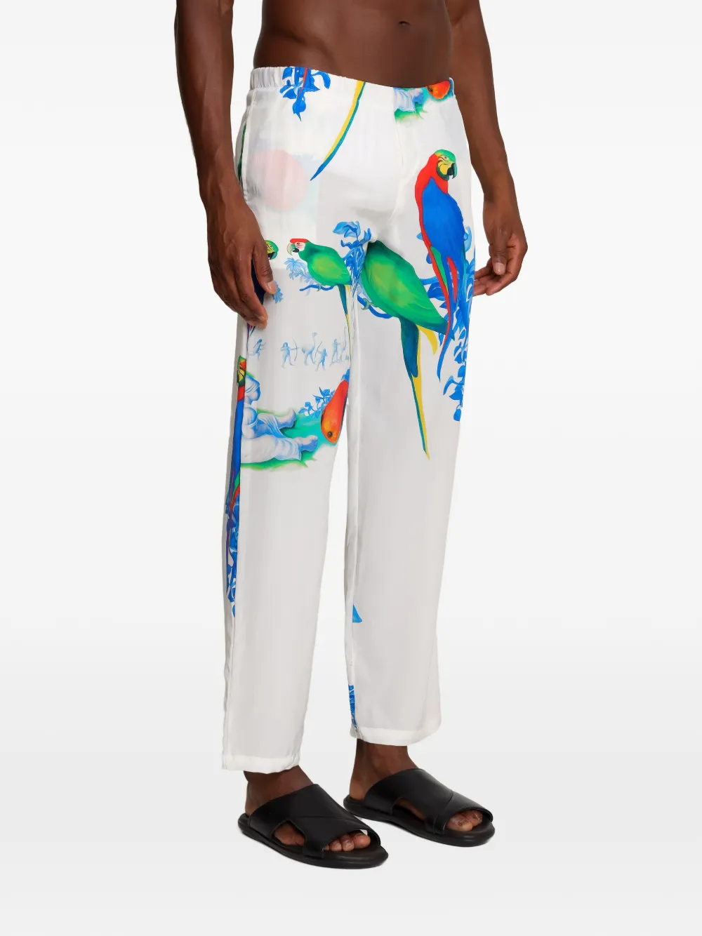 Amir Slama Broek met papegaaiprint Wit