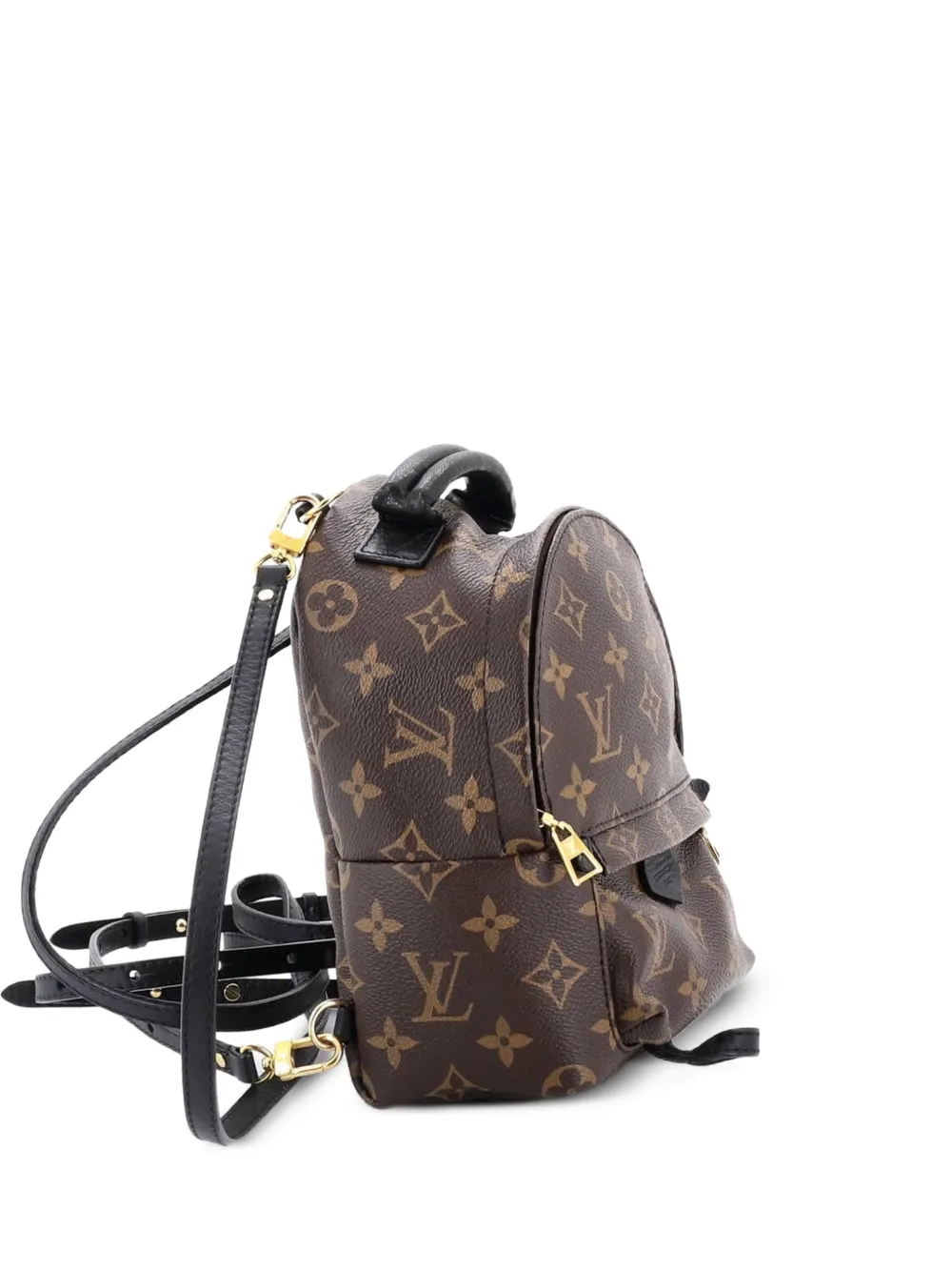 Louis Vuitton Pre-Owned Palm Springs Monogram Canvas Mini backpack - Marrone