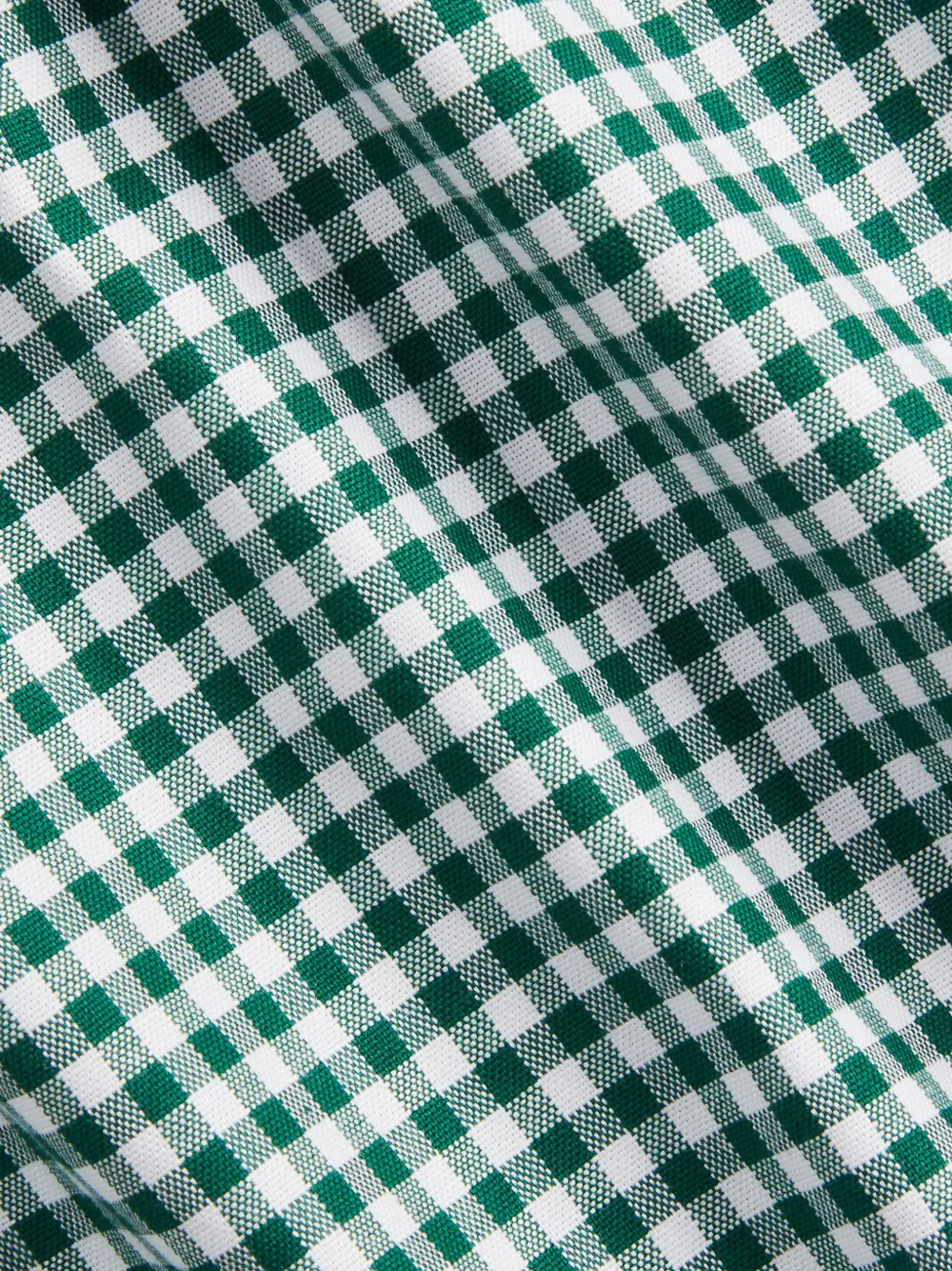 Polo Ralph Lauren Button-down overhemd met gingham ruit Groen