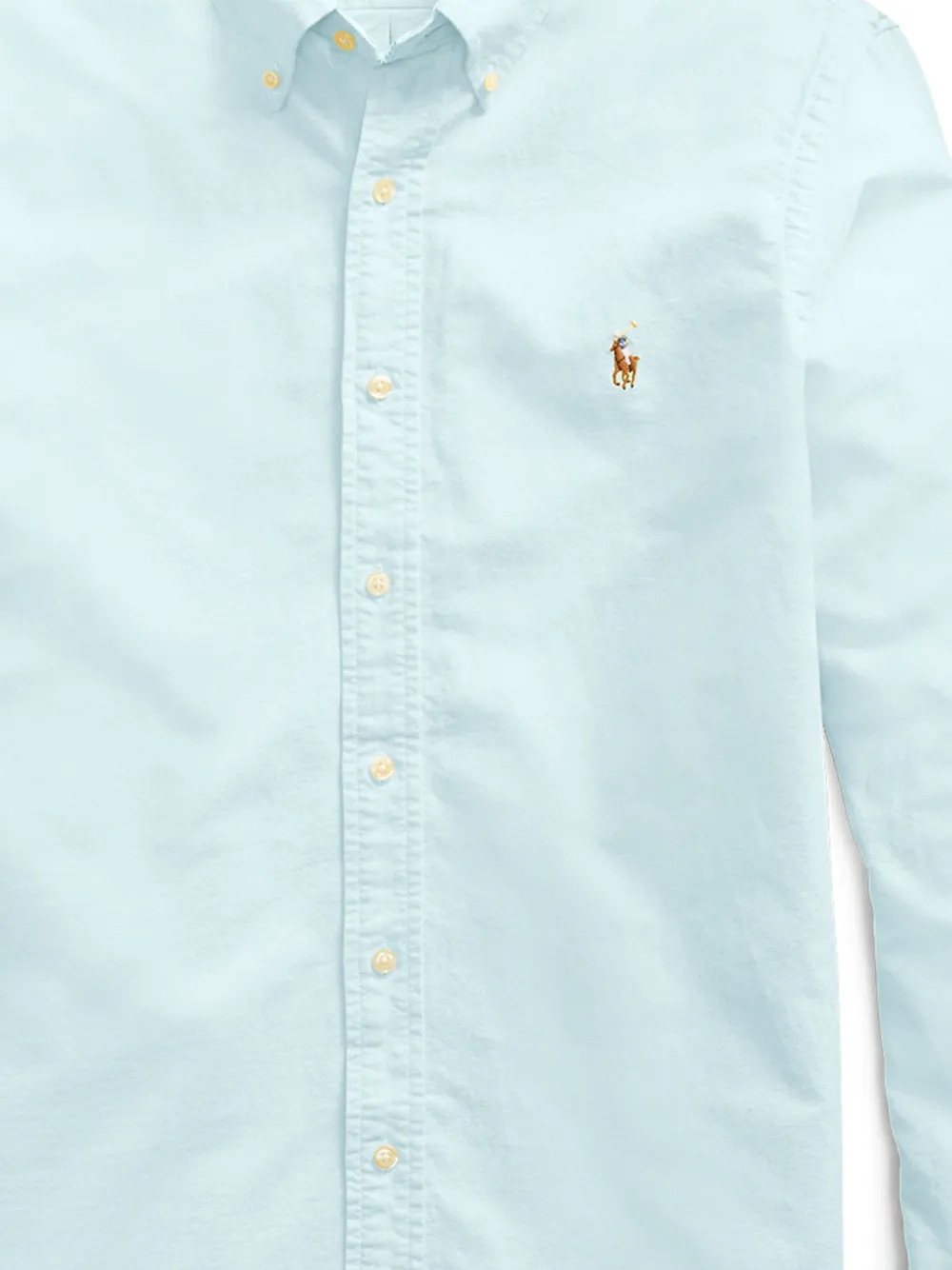 Polo Ralph Lauren Button-down overhemd met borduurwerk Blauw