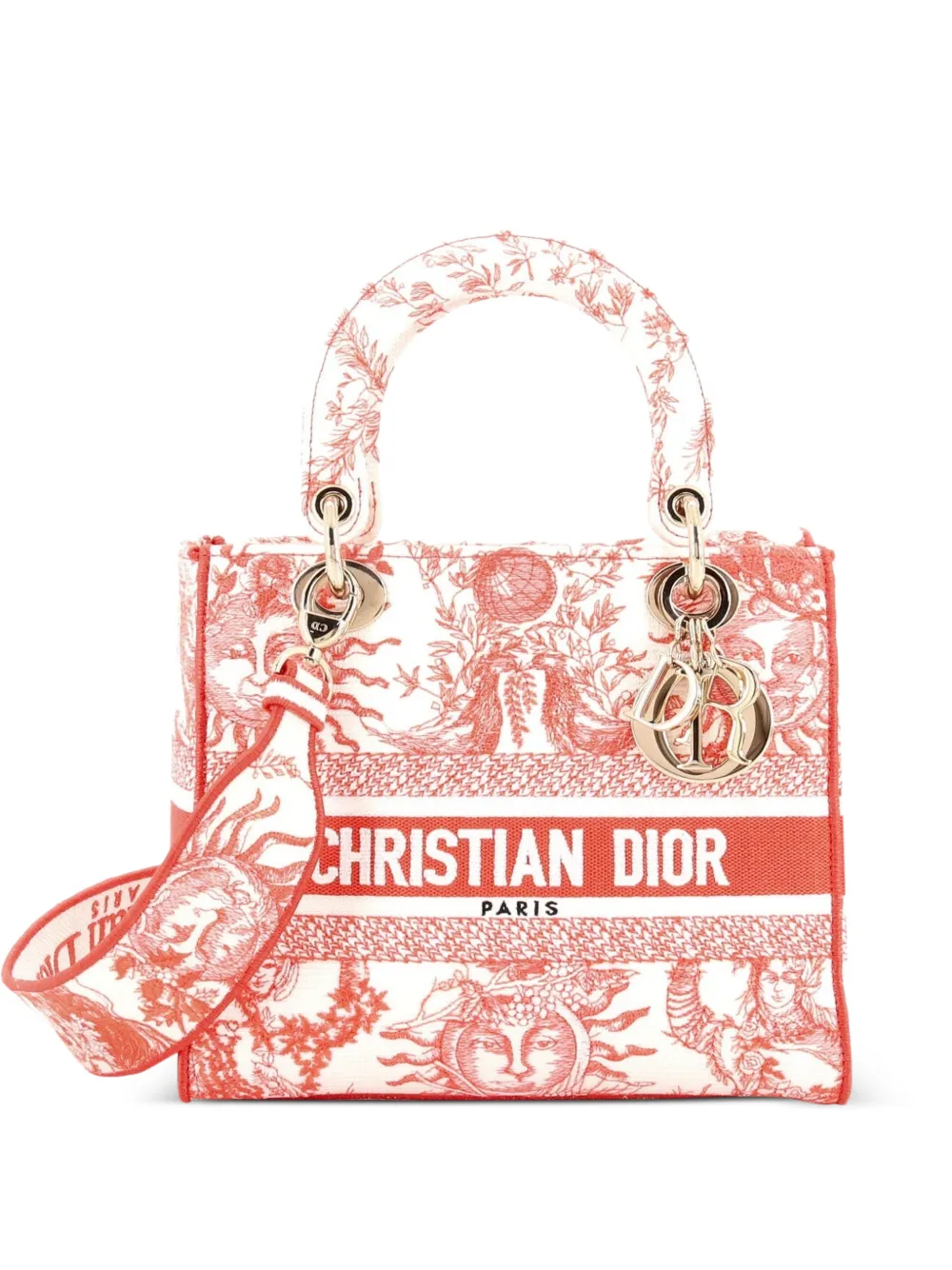 Christian Dior Pre-Owned Lady D-Lite Bag Embroidered Canvas Medium satchel - Rot