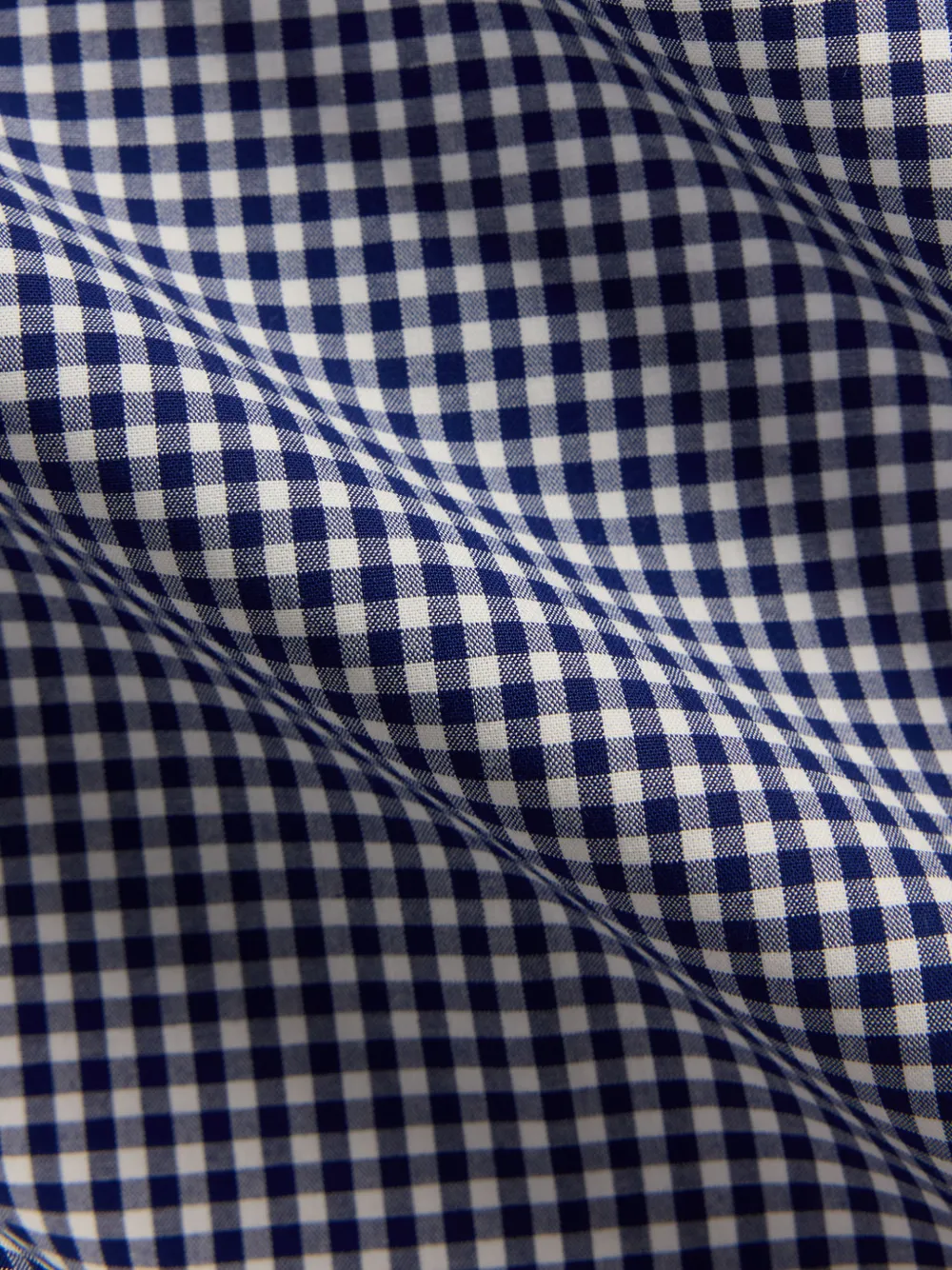 Polo Ralph Lauren Overhemd met gingham ruit Blauw