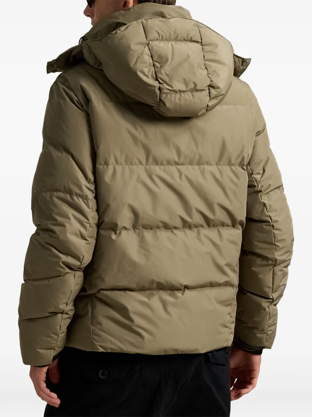 Polo Ralph Lauren Jack met capuchon en logo Beige