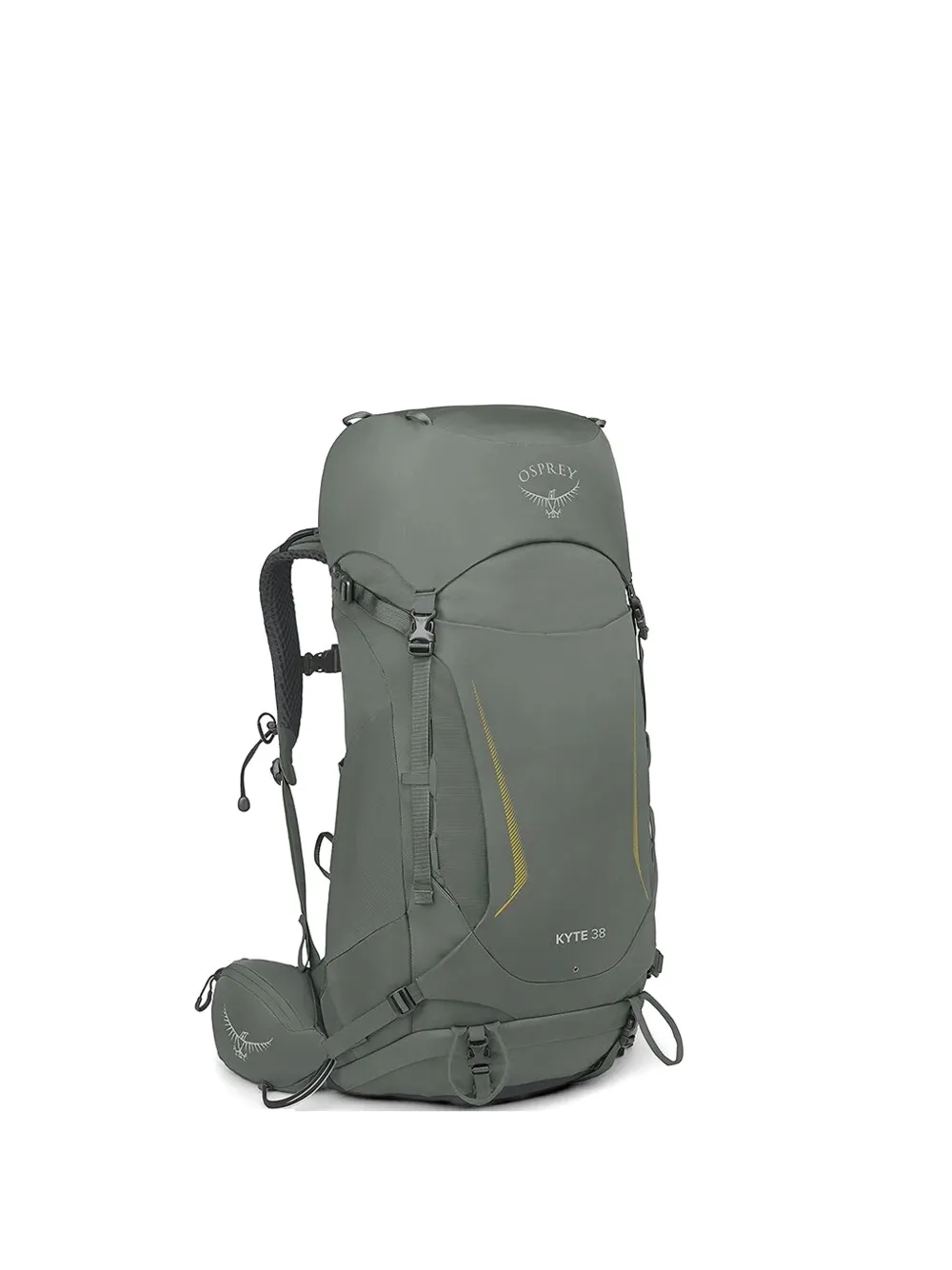 Osprey Kyte™ 38 Backpack In Green