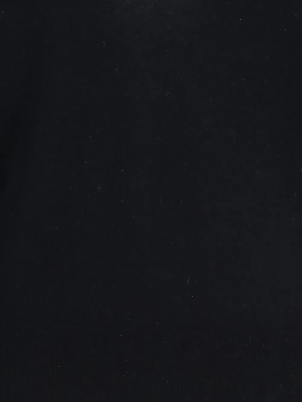extreme cashmere n°467 Collin trui Zwart