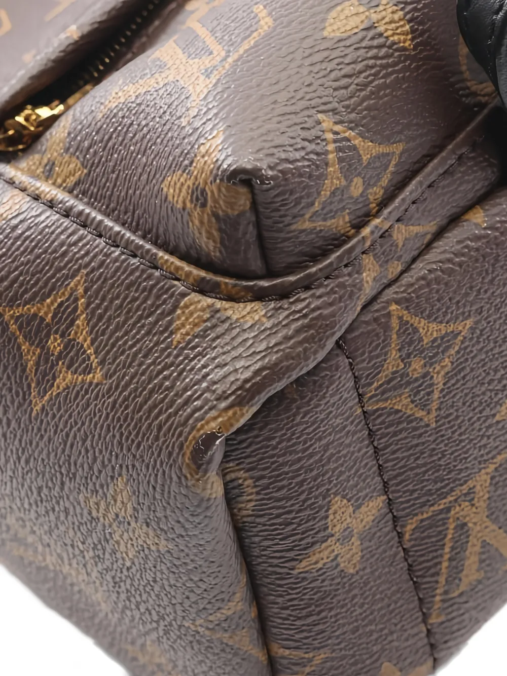 2021s Mini Palm Springs Monogram Backpack